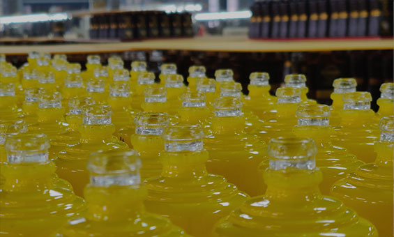 RSG 500ml Glass Bottles for Liquor: A Simple and Elegant Choice for Premium Spirits Packaging